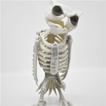 177690 HALLOWEEN OWL SKELETON